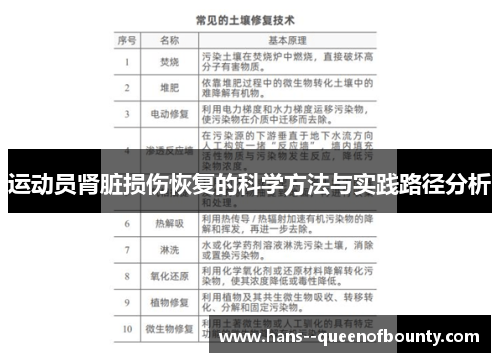 运动员肾脏损伤恢复的科学方法与实践路径分析