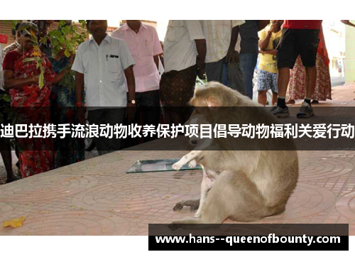 迪巴拉携手流浪动物收养保护项目倡导动物福利关爱行动